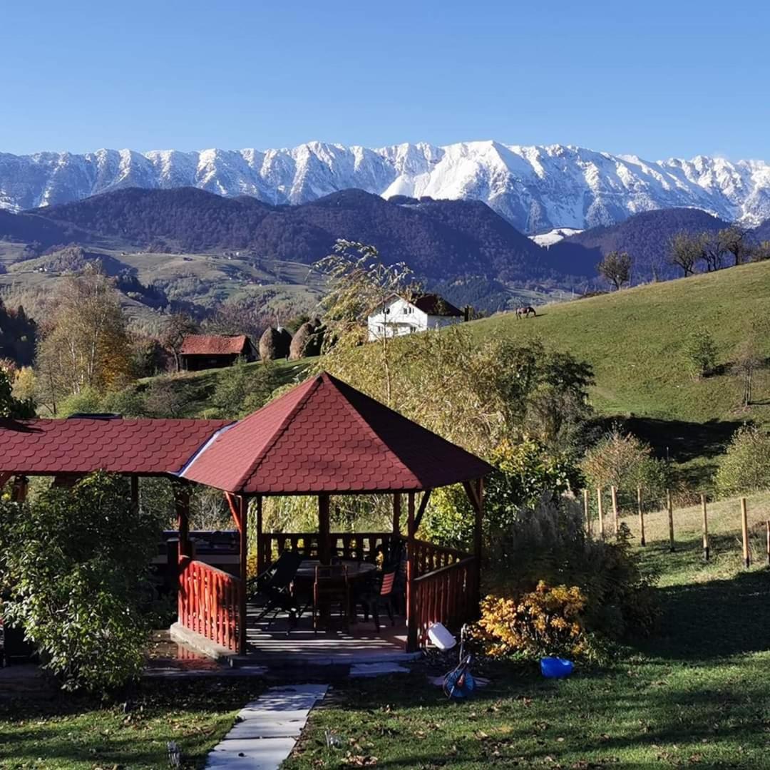 Nona Highland Home Moieciu de Jos Dış mekan fotoğraf