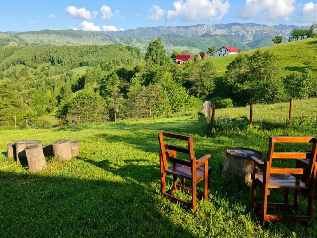 Nona Highland Home Moieciu de Jos Dış mekan fotoğraf