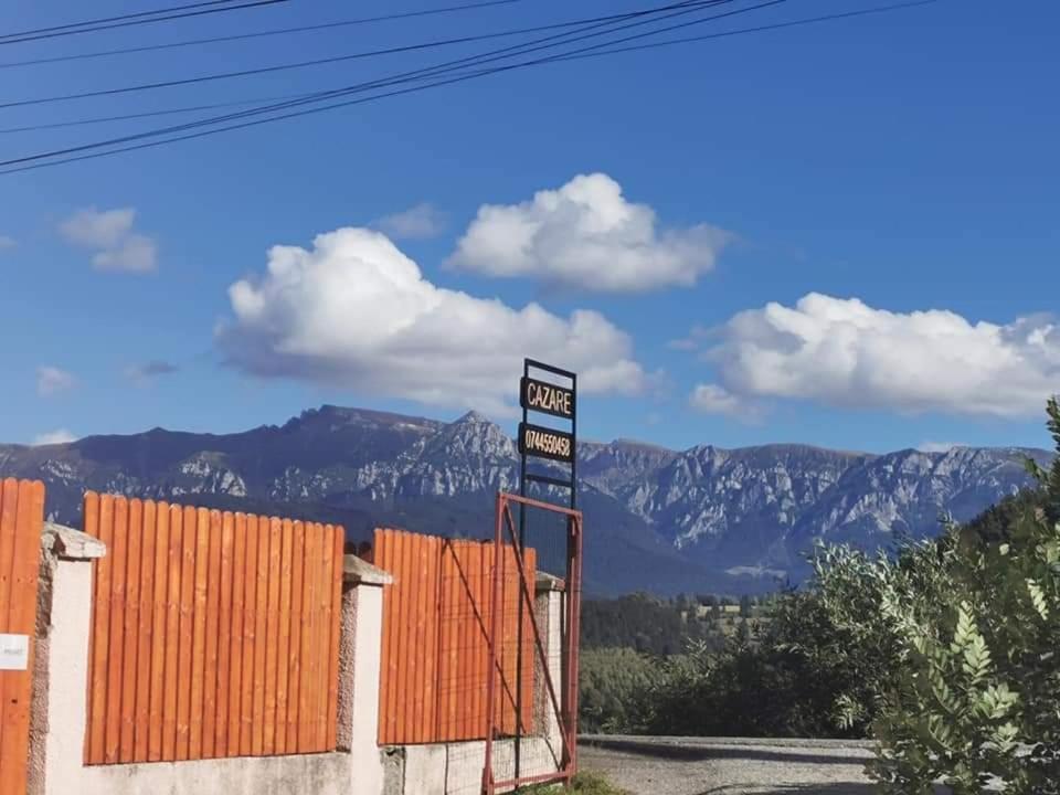 Nona Highland Home Moieciu de Jos Dış mekan fotoğraf