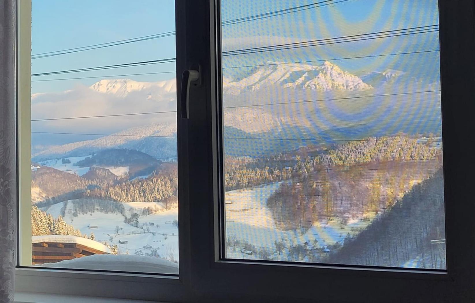 Nona Highland Home Moieciu de Jos Dış mekan fotoğraf