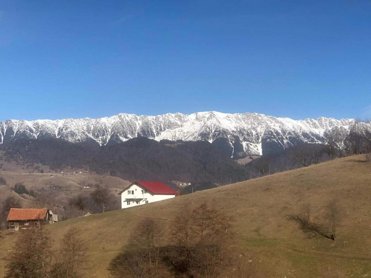 Nona Highland Home Moieciu de Jos Dış mekan fotoğraf